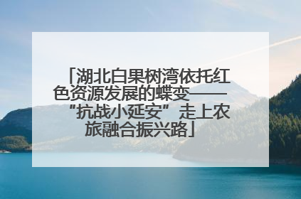 湖北白果树湾依托红色资源发展的蝶变——“抗战小延安”走上农旅融合振兴路